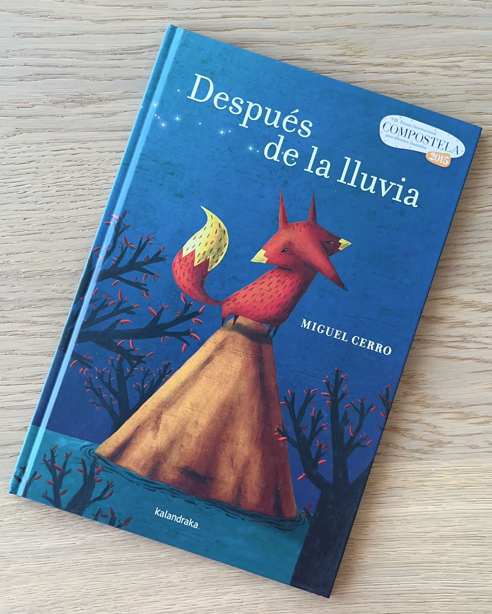 Después De La Lluvia